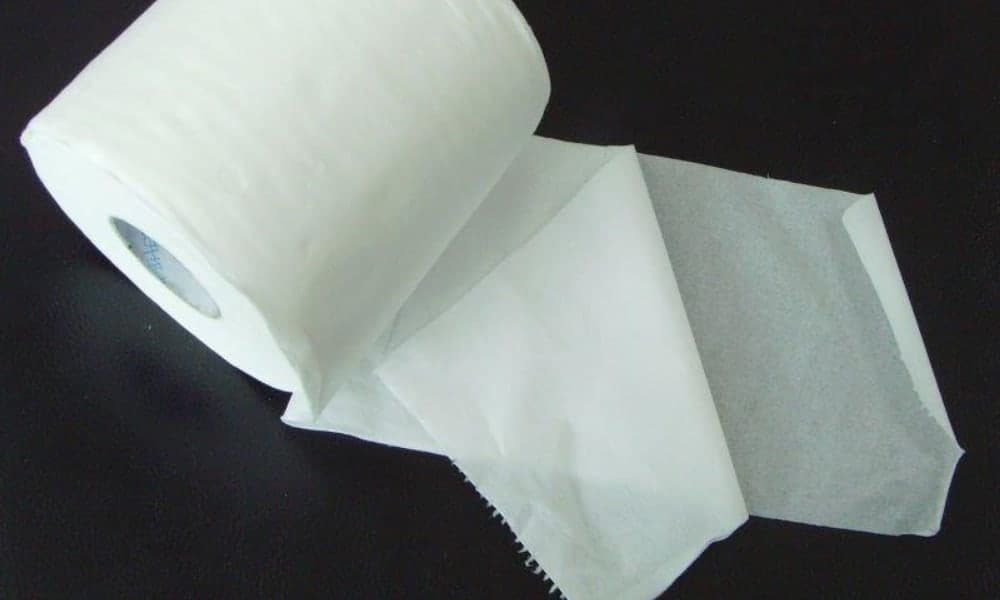 2-Ply Toilet Paper