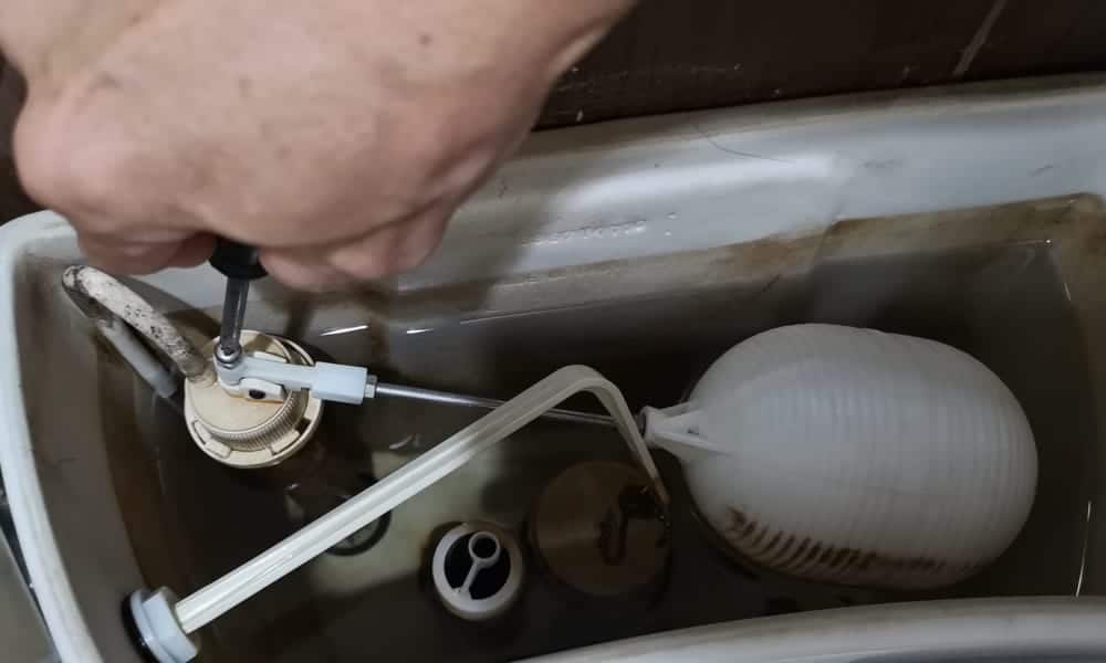 Examine the Toilet Tank, Float Ball, and Float Arm