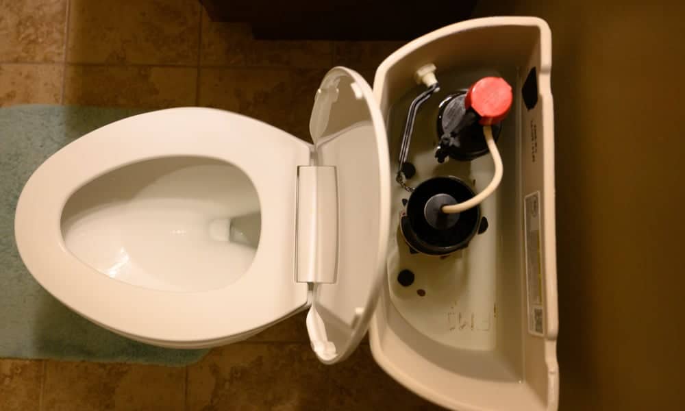 How To Force Flush A Toilet Without Running Water