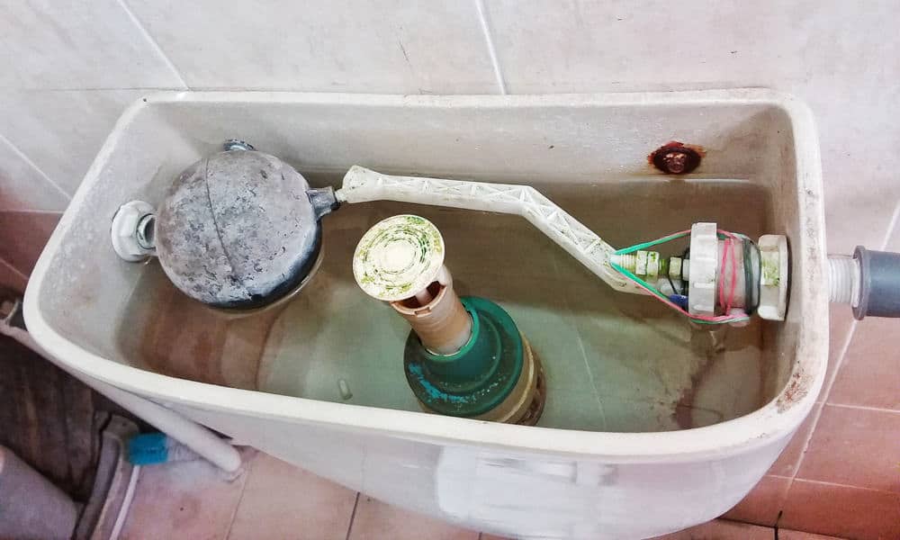 6 Easy Steps to Clean Toilet Tank Tricks Included