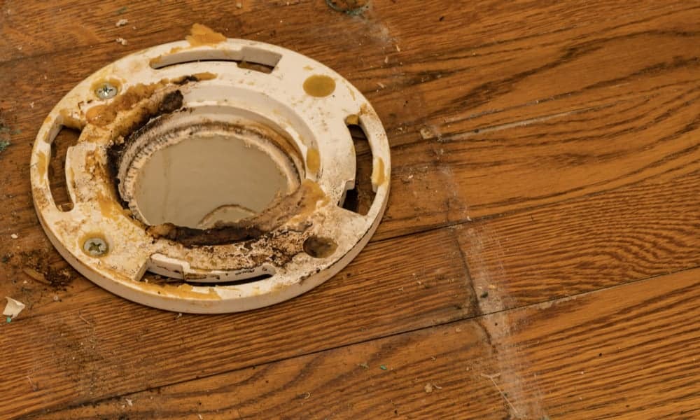 7 Easy Steps To Replace A Toilet Flange,What Goes Well With Blue Shorts