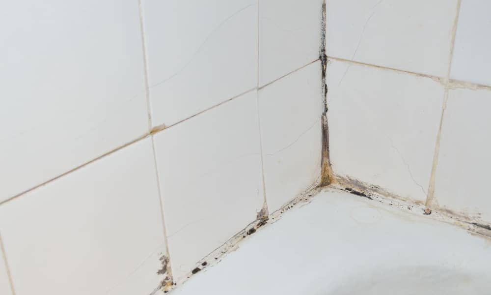 How to Clean Shower Tiles