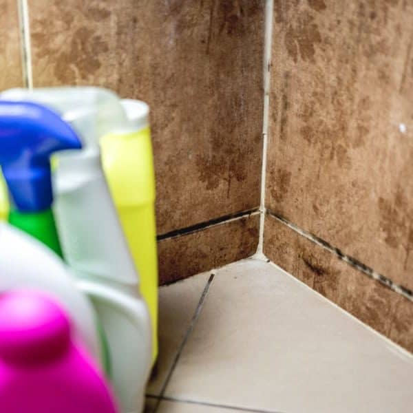 8 Ways to Remove Mold from Shower Caulking