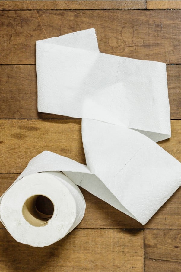A Brief History of the Toilet Paper