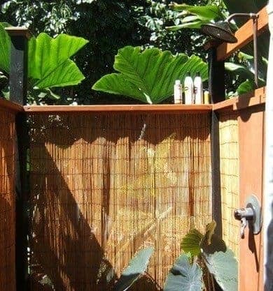 Blinding Bamboo outdoor shower