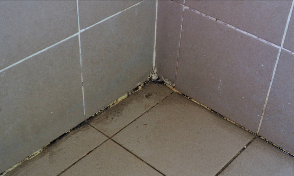 7 Tips To Get Rid Of Mold In Shower Caulk - How To Clean Mold From Bathroom Tile Grout