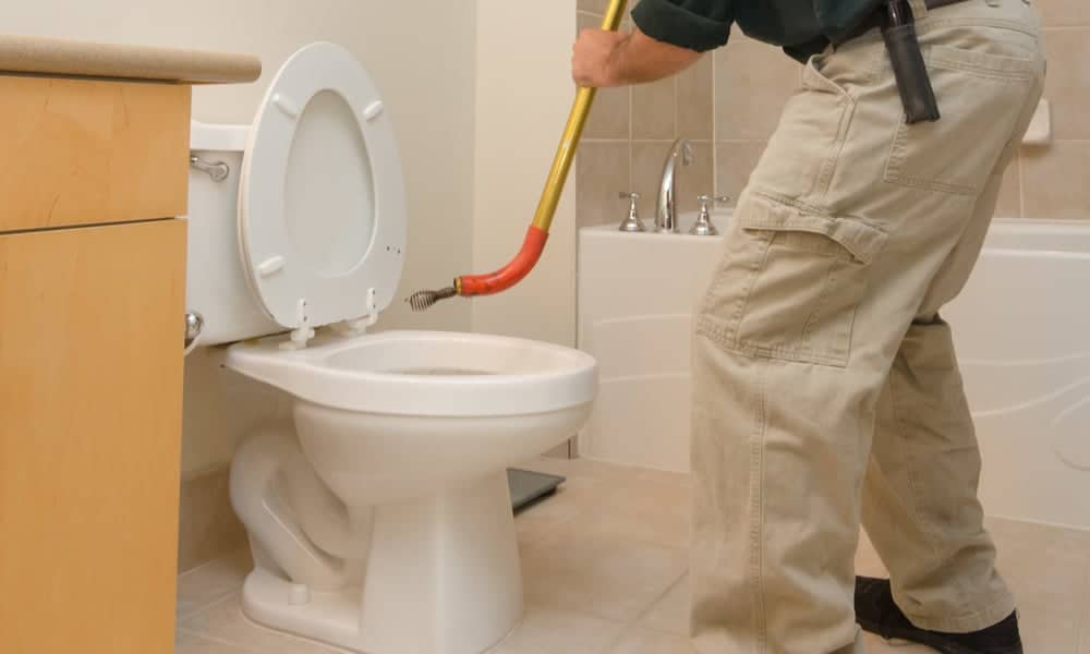 Insert the toilet auger or plumbing snake