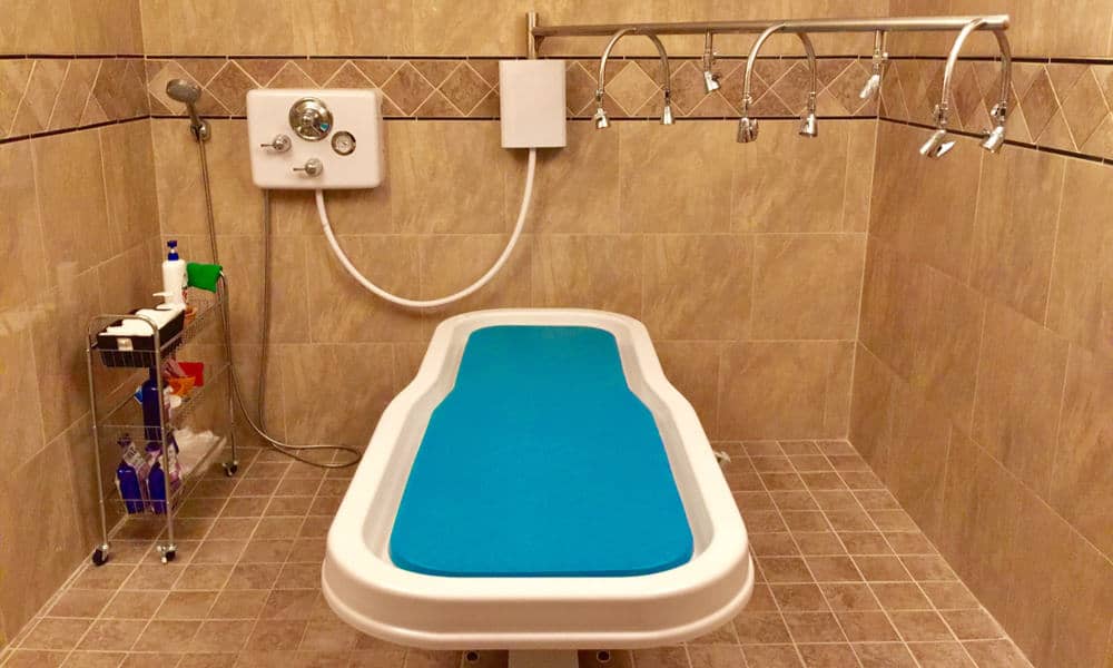 Table Shower Massage Everything You Need To Know 