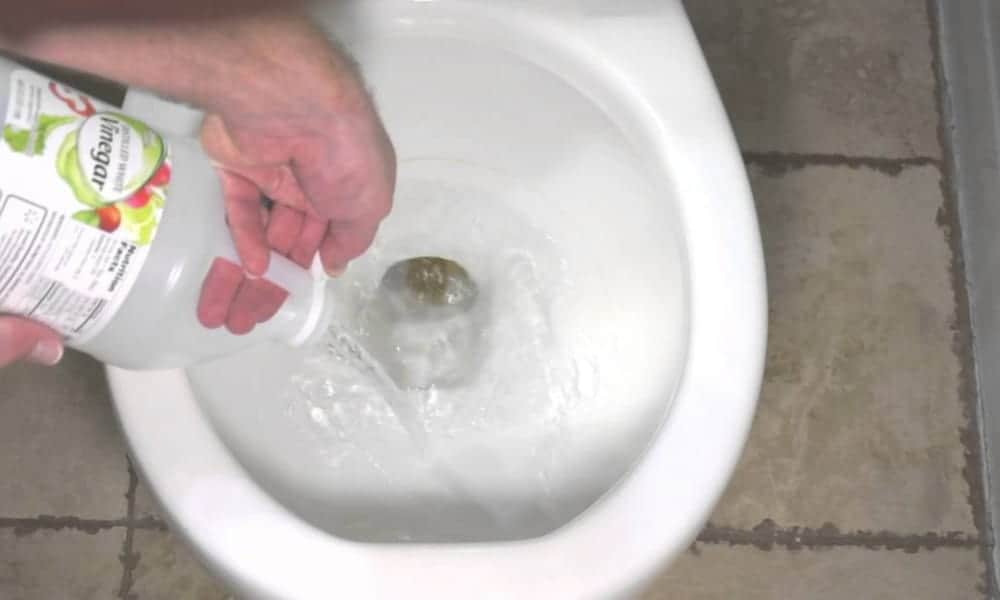 Toilet Seat Cleaning with Vinegar