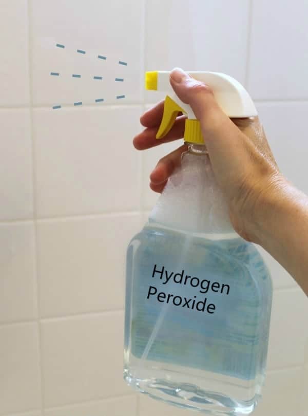 Try Hydrogen Peroxide