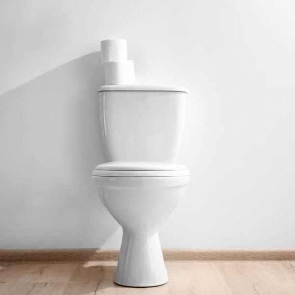 7 Best American Standard Toilets (Reviews of 2022)
