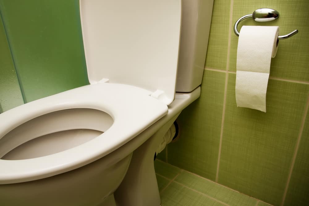 7 Best Toilet Seats Of 2021 Elongated Seat Reviews - Bemis Toilet Seat Installation 1500ec