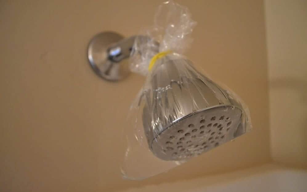 clean shower head using vinegar without removing