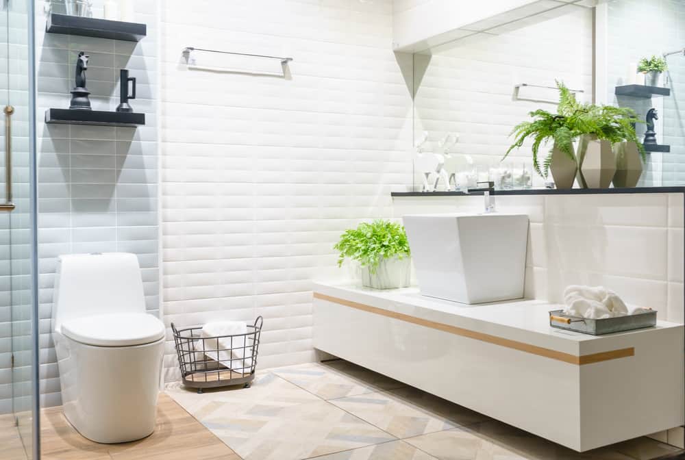 power flush toilet