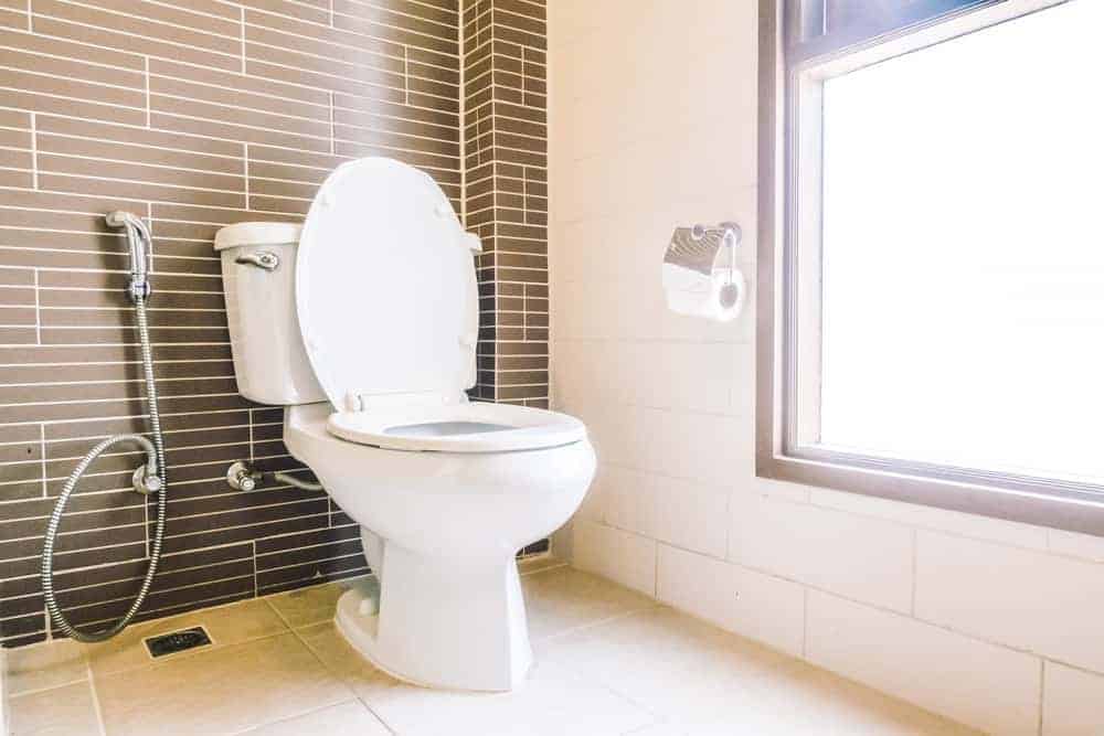 10 Best Upflush Toilets Of 2021 Macerating Toilet Reviews - Can You Put A Bathroom Anywhere In The Basement