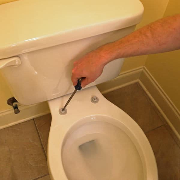7 Easy Steps to Replace a Toilet Seat