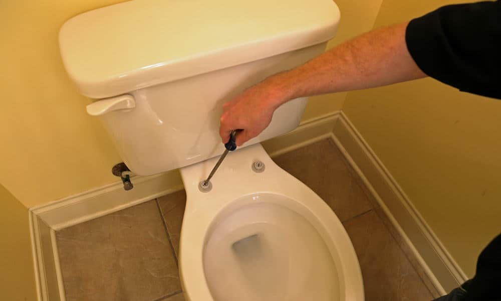 7 Easy Steps To Replace A Toilet Seat - How To Fix Broken Toilet Seat Cover