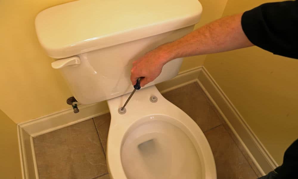 7 Easy Steps to Replace a Toilet Seat