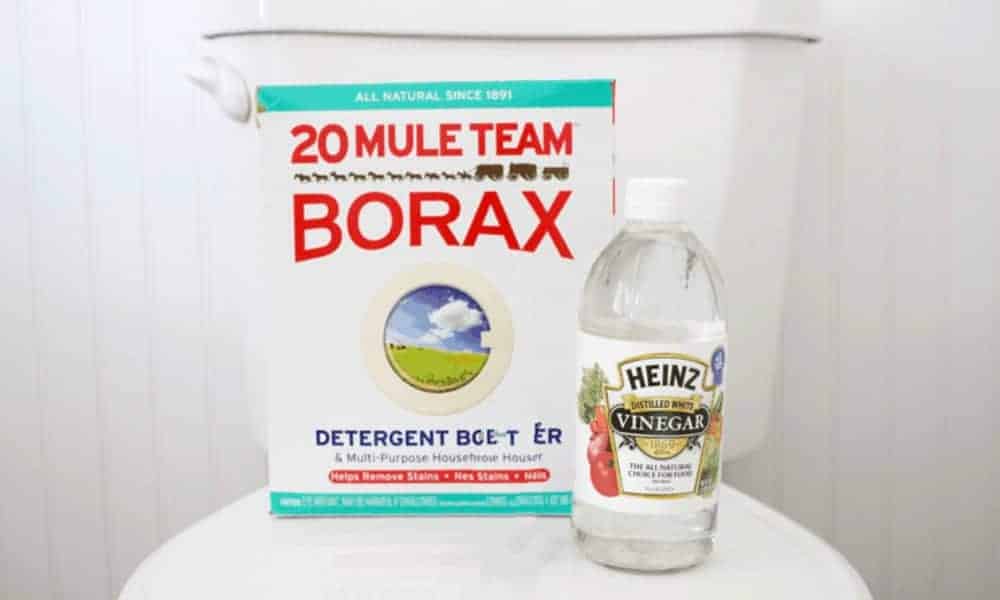 Borax and Vinegar
