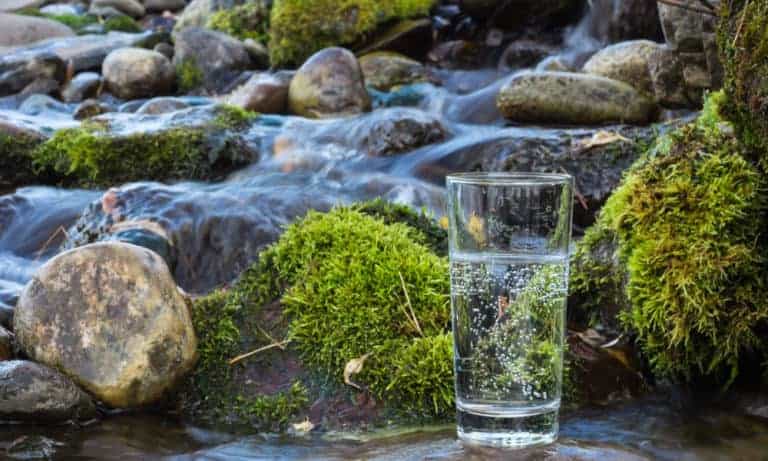 Spring Water vs. Purified Water What's the Difference