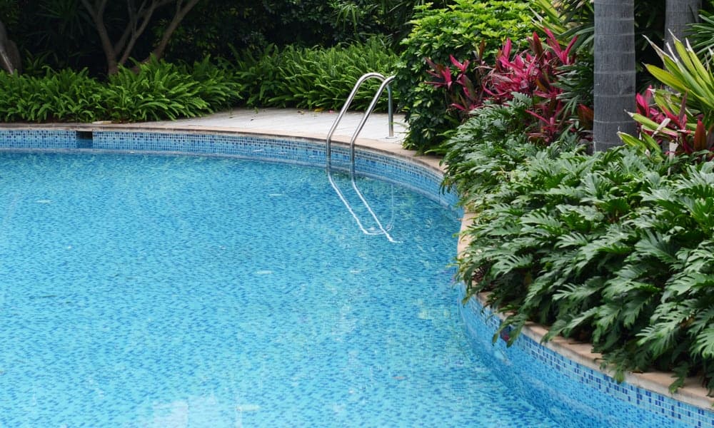 Swimming Pool Backwash Water