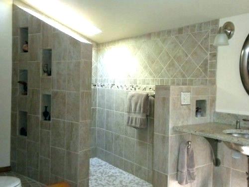 31 Luxury Walk In Shower Ideas, Walk In Tile Shower No Door Ideas
