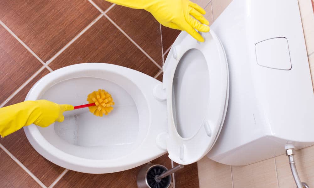 Clean and disinfect toilet