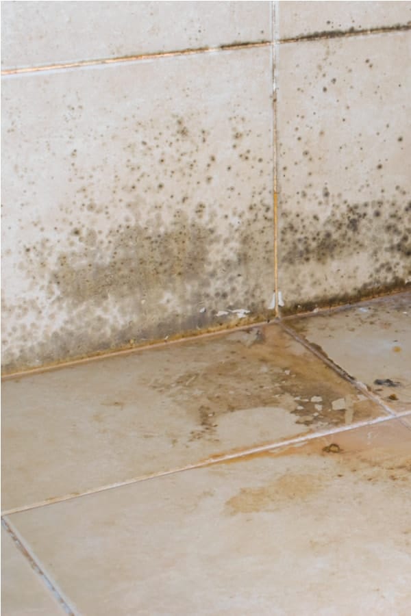 Get Rid of Black Mold on Tiles