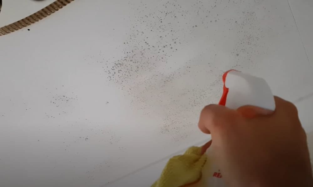 Use a mold spray