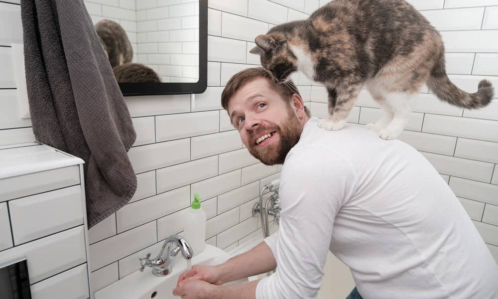 18 Reasons Why Do Cats Follow You into the Bathroom