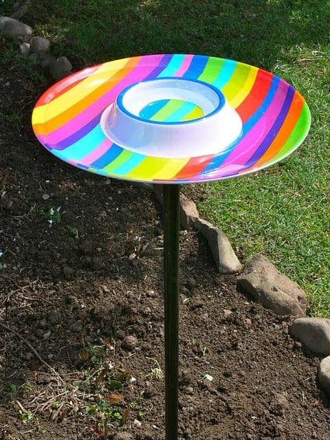 Chips Plate Bird Bath