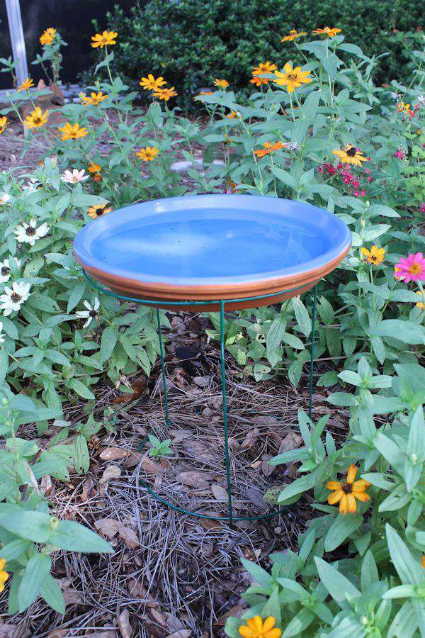  Tomato Cage Bird Bath