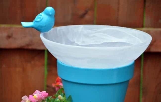 Topsy-Turvy Bird Bath