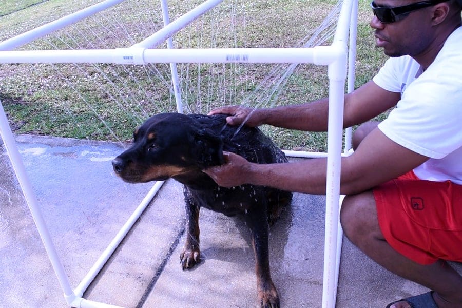DIY Dog Shower