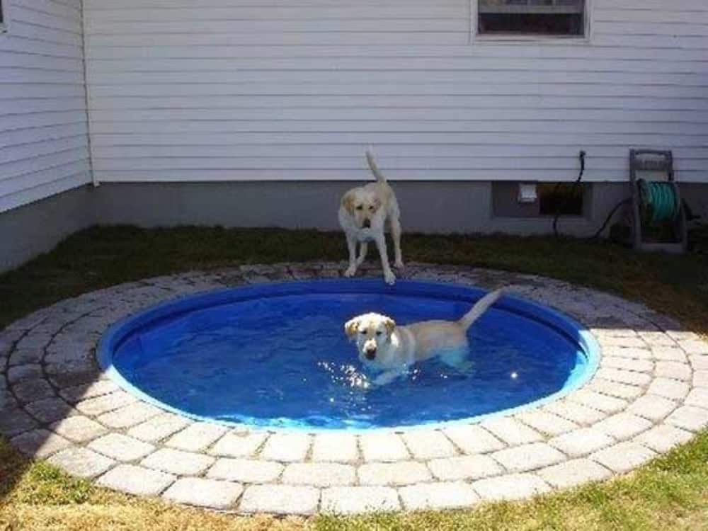 Kiddie Pool DIY Dog Bath Tub