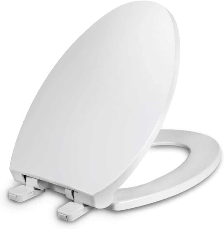 12 Different Types of Toilet Seats Which is Right for You?