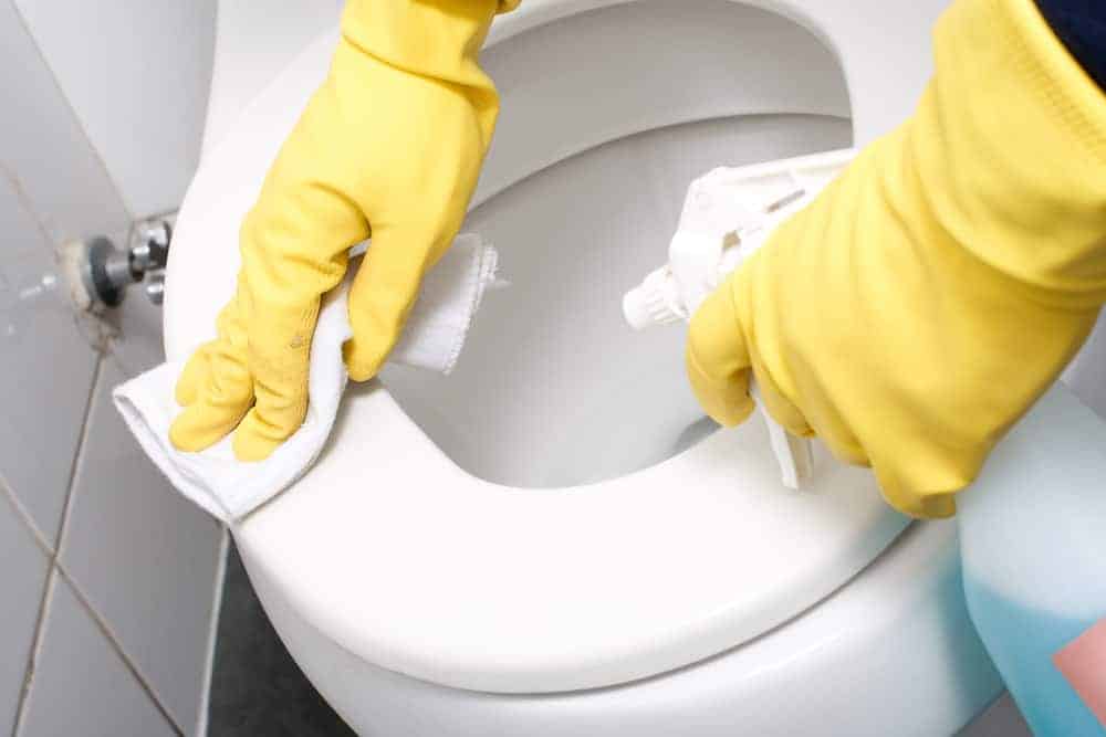 How to remove urine stains from your toilet