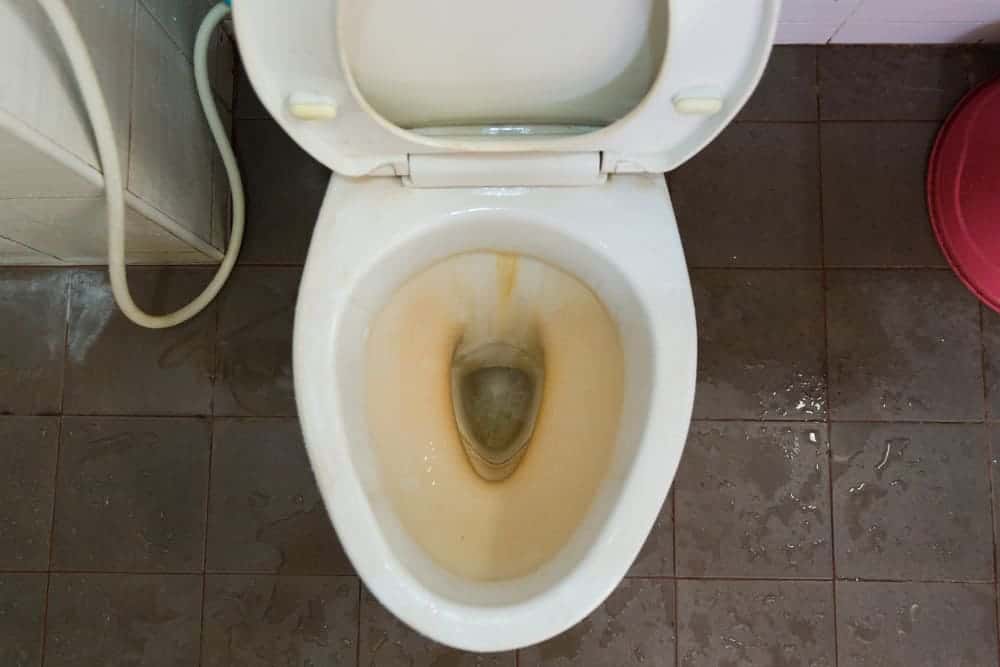Remove Yellow Stains from Toilet Bowl