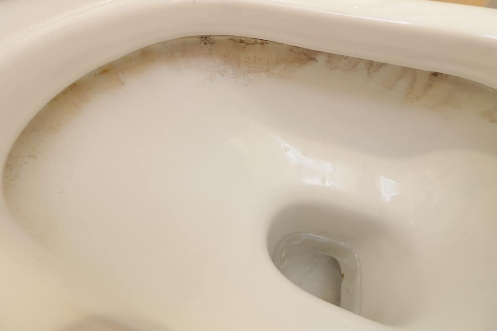 What are the stains Under Toilet Rim