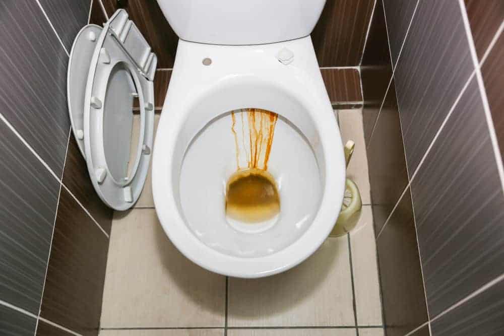 How do you remove a rust stain from a toilet?