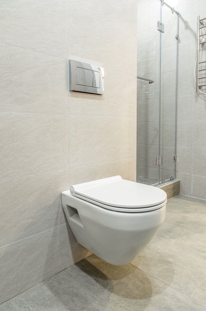 What are the disadvantages of wall mounted toilets?