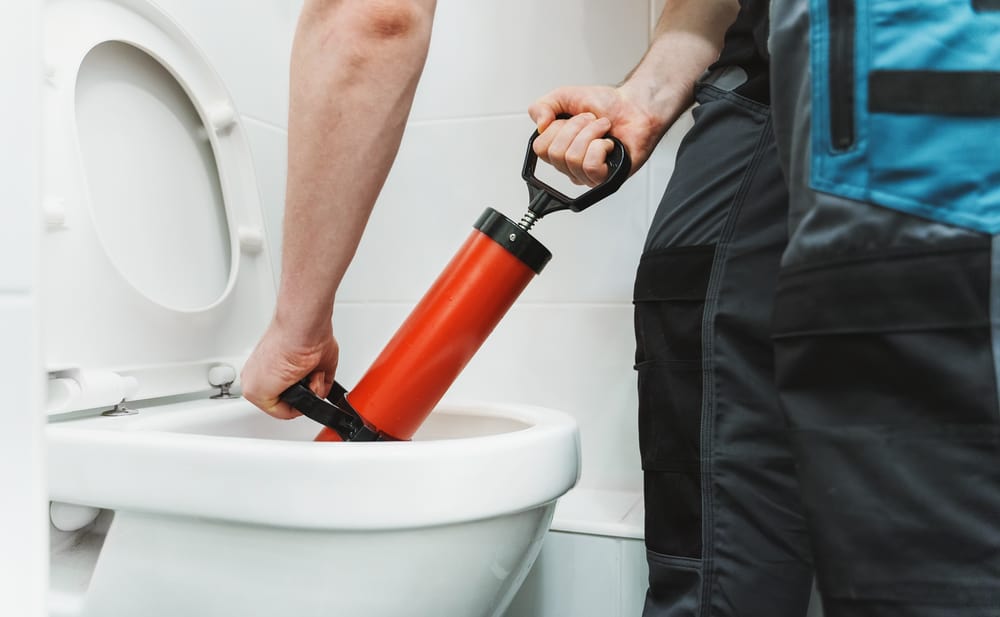 accidentally put liquid plumber in toilet