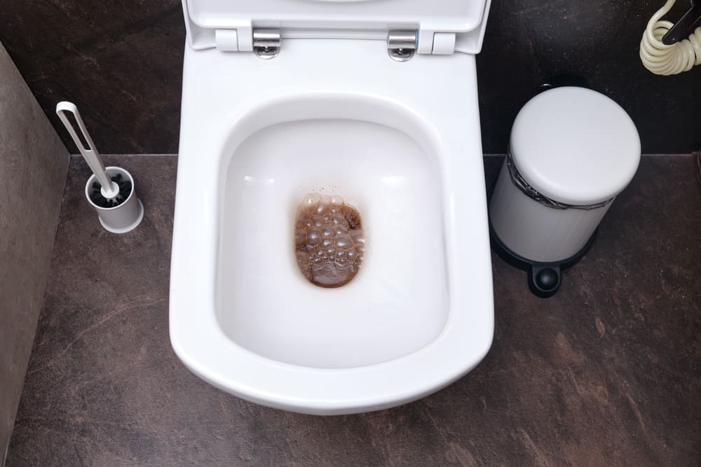 8 Chemicals That Dissolve Poop Fast