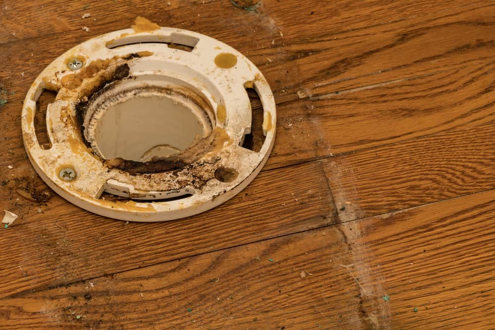 Should Toilet Flange be Flush with Floor (Correct Height)