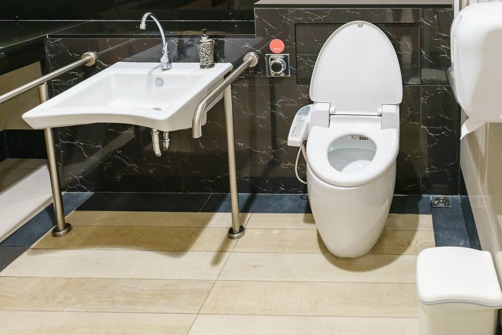 Accessible vs. Ambulant Toilets