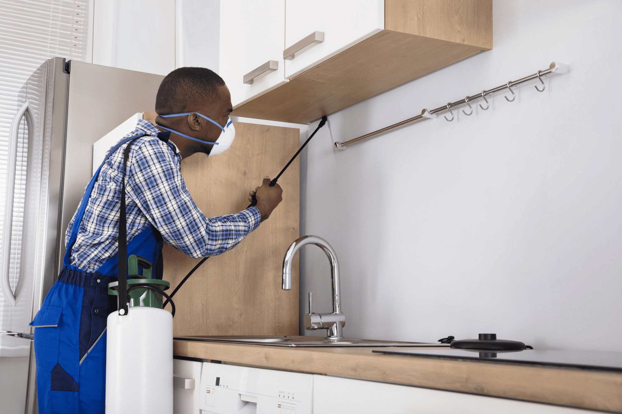 Things You Can Do in Your Kitchen to Keep Pests Out